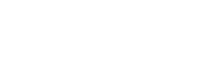 Logo with the words “Salem Chiropractic” in white letters